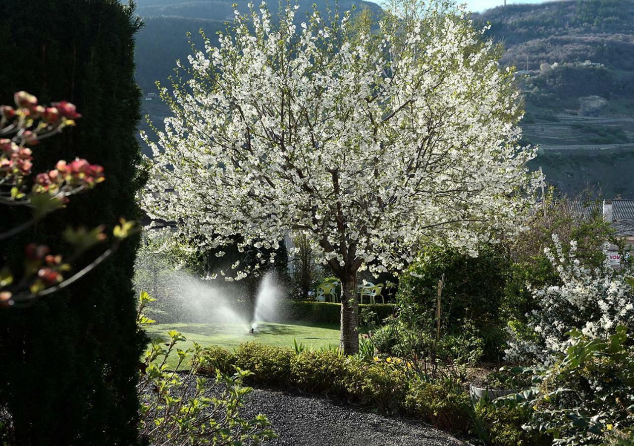 Martigny Villa De Maitre المظهر الخارجي الصورة